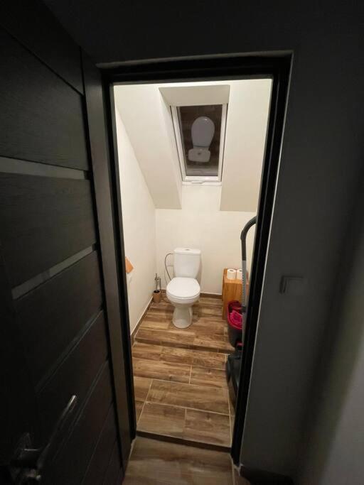 Francis Apartment - Lazenske Centrum كارلوفي فاري المظهر الخارجي الصورة