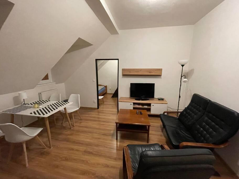 Francis Apartment - Lazenske Centrum كارلوفي فاري المظهر الخارجي الصورة