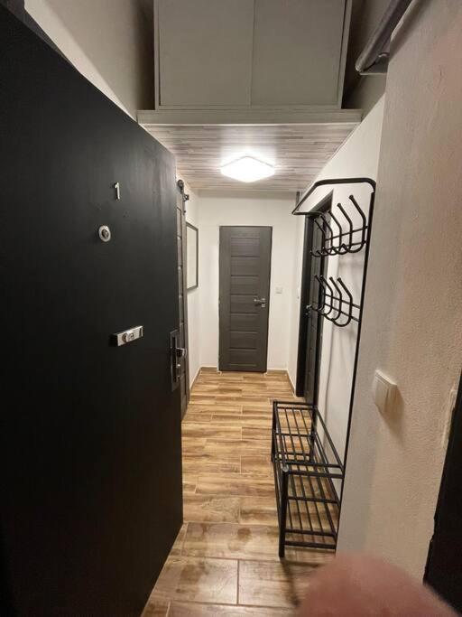 Francis Apartment - Lazenske Centrum كارلوفي فاري المظهر الخارجي الصورة