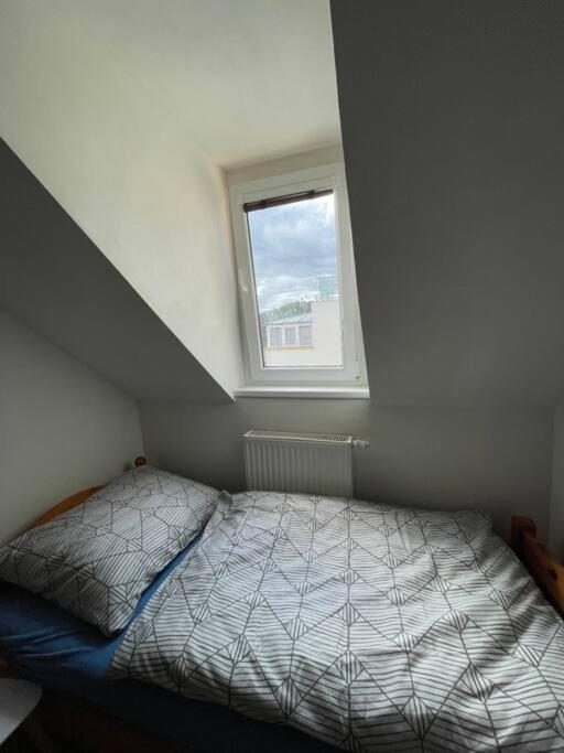 Francis Apartment - Lazenske Centrum كارلوفي فاري المظهر الخارجي الصورة