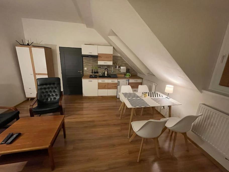 Francis Apartment - Lazenske Centrum كارلوفي فاري المظهر الخارجي الصورة